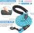 BAAPET Dog Leash, 2/4/5/6 FT with Comfortable Padded Handle, Reflective Threads for Small Medium Large Dogs (5FT-1/2'',