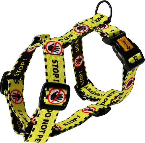 Dingo Dog Harness Do Not Pet Vest for Puppies, Dog in Training, Working Dog, Service Dog, Emotional Support Dog, Medium
