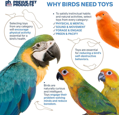 Prevue Hendryx 62803 Naturals Coco Rope Mini Bird Toy - 8 x 2.5