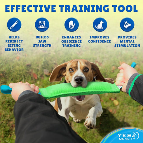 YES4QUALITY Durable Dog Bite Tug Toy (11.8"x3.5"), Green Pull Toy with Blue Handles for Small Medium Dogs