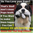 Snow Hill Dog Chews - Size XXL 8 Oz Himalayan Yak Milk Natural Long Lasting Protein-Rich Treats