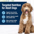 Blue Buffalo True Solutions Best Life Wet Dog Food for Medium Adult Dogs - Supports Immune Function & Digestive Health