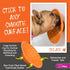 LickiMat Splash Dog Slow Feeder Bowl, Turquoise, Boredom Anxiety Reducer, Perfect for Food, Treats, Yogurt, Peanut