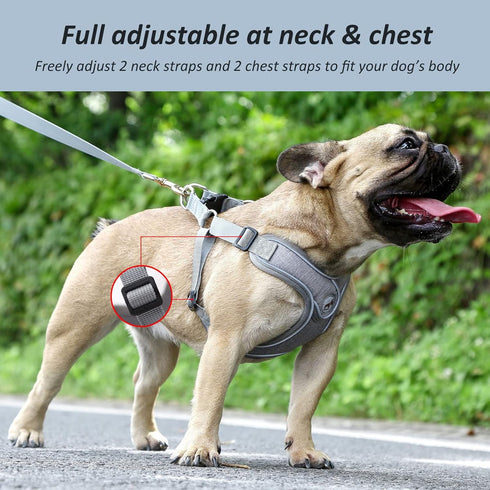 Dog Harness with Leash Set, No Pull Harnesses with Breathable Padded for Small Dogs Training and Running (XS, Gray)