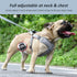 Dog Harness with Leash Set, No Pull Harnesses with Breathable Padded for Small Dogs Training and Running (XS, Gray)