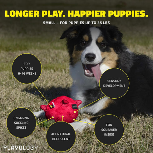 Playology Puppy Dog Ball Toys for Sensory Development, Stuffed Chew Toy with Squeaker for Puppies
