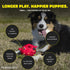 Playology Puppy Dog Ball Toys for Sensory Development, Stuffed Chew Toy with Squeaker for Puppies