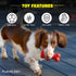 Playology Puppy Teething Bone Dog Toys, Small - Chew Toys with Squeaker for Puppies 4-8 Months, Engaging All-Natural