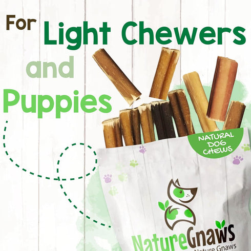 2-4" (8oz) Nature Gnaws Bully Stick Bites for Small Dogs - Long Lasting for Light Chewers and Puppies - Natural Beef