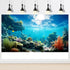 Ocean Floor Fish Tank Background - 48x18in Underwater Coral Reef Decoration with Sunlight
