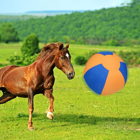 WHXMHRQ 25 Inch Herding Ball for Dogs - Blue & Orange Two-Tone Color, Enhanced Bite-Resistant Herding Toy