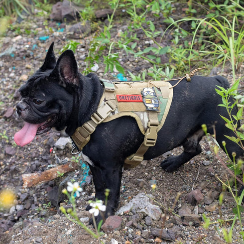 Tactical Dog Harness Vest with Handle, Adjustable No-Pull Service Dog Vest for Large Medium Dogs, Camo