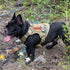 Tactical Dog Harness Vest with Handle, Adjustable No-Pull Service Dog Vest for Large Medium Dogs, Camo