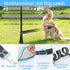 LED Dog Leash with 12 Lighting Modes, 4 Ft Rechargeable Lighted Leash for Night Walking Safety for All Dogs