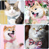 Segarty Dog Bow Tie, 6 PCS Holiday Collar Bulk for Pet Festival Party, Cute Plaid Patterned Neck Wear