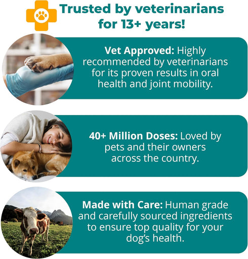 1TDC WorksSoWell Dual Action Joint Supplement for Dogs & Cats - 30ct for Hip and Joint Health