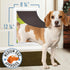 Evergreen Pet Supplies Medium Dog Door Flap Replacement for Sliding Glass Doors - 8 1/4" x 12 1/4" - Weather-Resistant