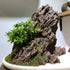 Seiryu Rock Stone - 2-6 inches for Aquariums, Landscaping Model, Tank Decoration (10lb)