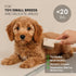 Grooming Dog Slicker Brush for Toy Poodle, Small Doodles & Maine Coon Cats - Best Dog Brush for Cockapoo Cavapoo