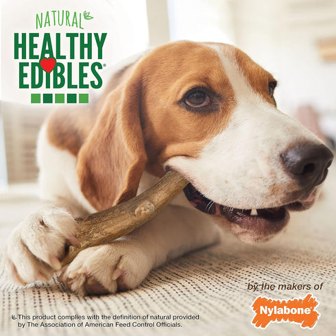 Nylabone Healthy Edibles WILD Antler Dog Chew Treats, Venison Flavor, Medium/Wolf (10 Count)