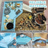 Hermit Crab Accessories - Platform with Ladder and Food Dish, Hermit Crab Climbing Toys, Habitat Supplies and Tank
