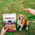 SmartBones Rib and Wing Chews, No Artificial Colors or Preservatives, Fun Shaped Triple Flavor Dog Treat
