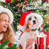 Dogs Christmas Collar - Red Plaid Snowflake-Themed Adjustable Puppy Collar for Small Dogs, Pet Decorative Collar
