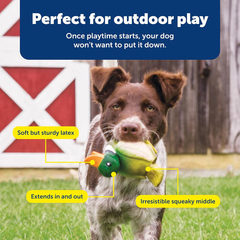 PetSafe Busy Buddy Duck Squeeze Meeze - Fun Latex Dog Toy with Squeaker