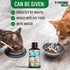 Natural Dog Cough Medicine - Antibiotic for Cats Respiratory Infection, Sneezing Relief & Kennel Cough Treatment