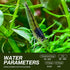 1/4" 1/2" (10+2 Pack) Amano Shrimps Algae Cleaner Inverts Live Freshwater Aquarium Shrimps - - Live Shrimp Arrival