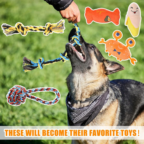 Leyndo 40 Pack Dog Chew Toys for Aggressive Dogs, Plush Squeaky and Rope Toys for Medium and Large Breeds