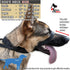 PetsProMax - Dog Headcollar for Pulling and Reactive Dogs; Behind Head Dog Leash Hook Lets You Walk Peacefully; Instantly Stops Your Dog Pulling. Dogs No-Pull Training Collar for Large Dogs. Red (L)