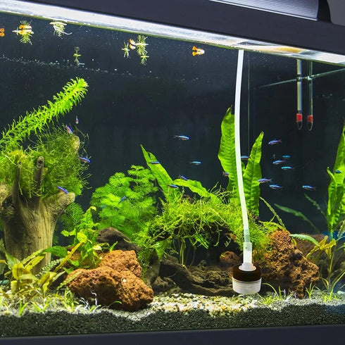 QXUJI 4PCS Air Driven Bio Filter Sponge Aquarium Filter, Bio Sponge Filter, Aqua Flow Sponge, Air Pump Driven