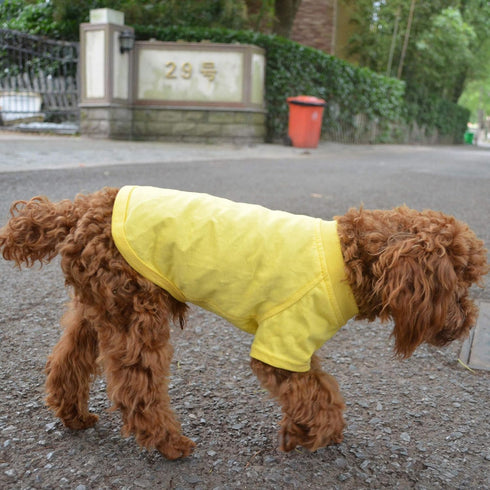 Lovelonglong Pet Clothing Dog Costumes Basic Blank T-Shirt Tee Shirts for Small Dogs (Yellow, S)
