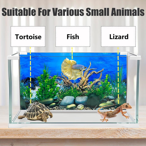 Aquarium Background Seabed Coral Rock Water Plants, Fish Tank Backdrop for 10-20 Gallon Tanks