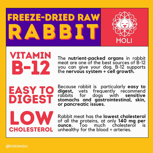 HOLI Freeze Dried Rabbit Treats for Dogs - All Natural, 100% Made in USA, Grain Free, 3.5oz