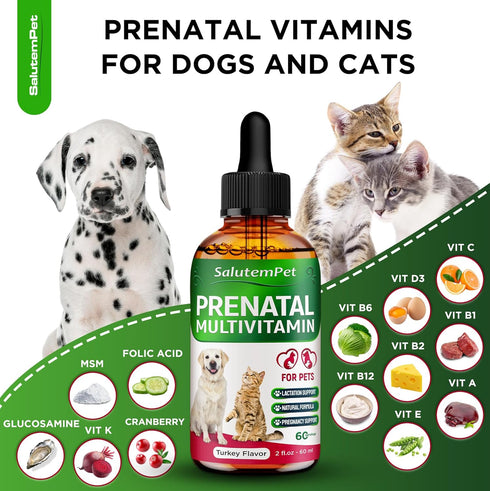 Dog Prenatal Vitamins, Supplies for Pregnant Cats, Vitamins for Dogs and Cats, 2 oz