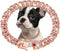 RoseGold Dog Chain Collar, Diamond Cuban Link 13mm Wide Necklace for Small Medium Large Dogs Cats (14inch)