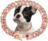 RoseGold Dog Chain Collar, Diamond Cuban Link 13mm Wide Necklace for Small Medium Large Dogs Cats (14inch)