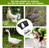 4 Pcs Adjustable Chicken Harness with Leash - Comfortable Hen Vest, Breathable Mesh Training Harness for Small Pets