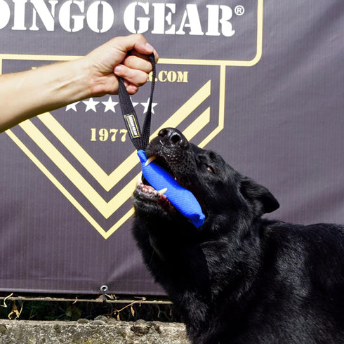 Dingo Gear Tug Toy for Dog Training, Agility Tug of War, French Linen Dog Bumper with Handle, 6" Blue