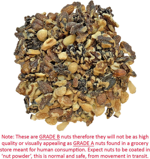 (14 (Pack 1) Premium Nut Mix - Unroasted, Unsalted Walnuts, Hazelnuts, Almonds - Food & Treat for Grey Squirrels