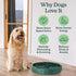 20" Reggie Snuffle Mat for Dogs, for Calming Support, Reducing Speed Eating, and Mental Stimulation, Durable & Easy