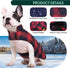 Kuoser Dog Winter Coat, Reversible Jacket, Warm British Style Vest for Small Dogs, Windproof, Red S