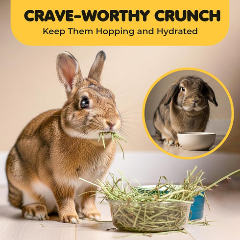 Chinchillas, 3.5 oz SunGrow Timothy Food, Ideal for Rabbits, Guinea Pigs, and High-Fiber Hay for Digestion & Oral Care