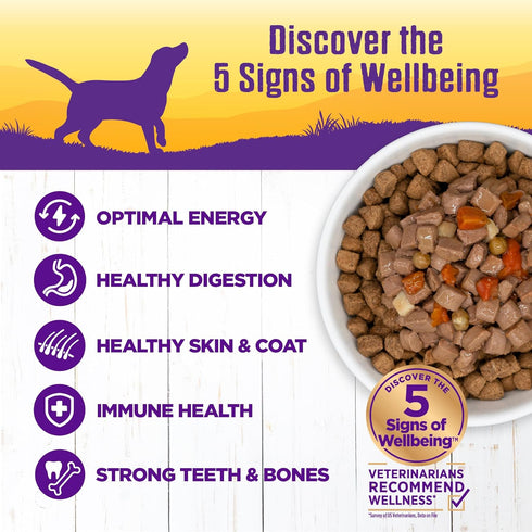 12.5 oz, Pack 12 Wellness Complete Health Stew Adult Canned Wet Dog Food, Grain Free, Natural, Beef Recipe, of Cans
