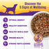 12.5 oz, Pack 12 Wellness Complete Health Stew Adult Canned Wet Dog Food, Grain Free, Natural, Beef Recipe, of Cans