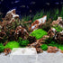 Aquarium Shrimp Habitat Hideout - Multi-Hole Breeding Cave for Fish