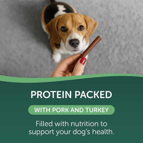10 Count HEALTHFULS Deli Sticks Pork and Turkey Human-Grade Gluten-Free Soft and Chewy Dog Treats, Bag