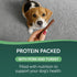 10 Count HEALTHFULS Deli Sticks Pork and Turkey Human-Grade Gluten-Free Soft and Chewy Dog Treats, Bag